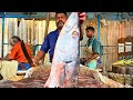 KASIMEDU 🔥 SPEED SELVAM | BARRACUDA FISH HEAD CUTTING VIDEO | IN KASIMEDU | FF CUTTING 🔪