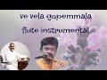 Ve Vela Goppemala | Flute Instrumental | Nagaraju Talluri