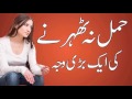 Download Hamal Na Thehrnay Ke Waja | Hamal Zaya Q Hota Hai | Health Benifits for Pregnancy in Urdu / Hindi mp4 3gp mp3 videos - waplic