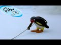 Exploring the Outdoors with Pingu 🐧 | Fisher-Price | Cartoons For Kids
