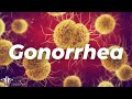 What Gonorrhea Does to Your Body