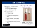 Lab 5-28: Motility Test