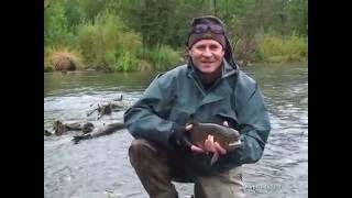 нахлыст на камчатке видео нахлыст на камчатке видео