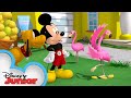 Flamingo-A-Go-Go | Mickey Mouse Hot Diggity Dog Tales | Disney Junior