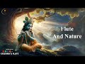 Krishna's Flute Music || Morning Deep Relaxing Music,  Stress Relief Study, Calming Music 24/65