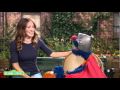 Sesame Street: Super Grover Helps Sarah Jessica Parker Find Big