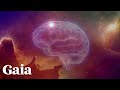 Download FREE Movie | Connecting With Universal Consciousness mp4 3gp mp3 videos - waplic