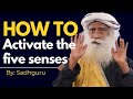 Discover the Secrets: Sadghuru on Activating 5 Senses #sadghuru #inspiring #motivational