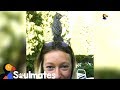 Download Woman Rescues A Baby Robin And Becomes His Best Friend | The Dodo Soulmates mp4 3gp mp3 videos - waplic