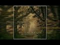 Vishal Naidu - Fragments Of Serenity (Full Album Premiere)