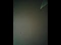 Taylor Krutz singing rolling in the deep by Adele
