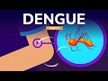 Treatment and Prevention Against Dengue