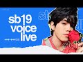 SB19 VOICE LIVE - STELL