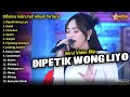 Difarina Indra Full Album || Dipetik Wong Liyo, Difarina Indra Full Album Terbaru 2024 - OM ADELLA
