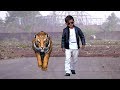 CHOTU DADA AUR TIGER | छोटू और टाइगर | Khandesh Hindi Comedy | Chotu Comedy Video