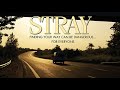 Stray (2016) | Thriller Movie | Serial Killer Movie | Full Movie