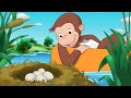 George Finds a Mysterious Egg 🐵 Curious George 🐵 Kids Cartoon 🐵 Kids Movies