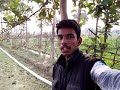 Whatsapp Banned Number Problem Fast Solve