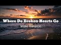Where Do Broken Hearts Go - Male Version ( Vedio  lyrics )