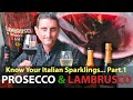 Prosecco & Lambrusco, Best-Selling Italian Sparkling Wines | "The Fine Bubblies of Italy" Part.1