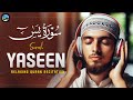 Quran Recitation of Surah Yasin (Yaseen) | Soothing Voice | Peaceful Quran | سورة يس