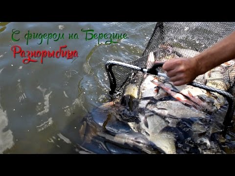 погода для леща видео погода для леща видео