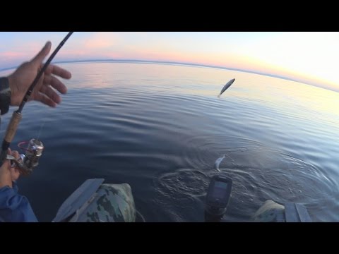 рыбалка на баунте летом видео рыбалка на баунте летом видео