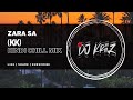 ZARA SA (KK) | Hindi Chill Mix | DJ KRIIZ
