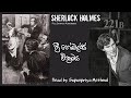 Sherlock Holmes | ත්‍රී ගේබල්ස් වික්‍රමය | Full Sinhala Audiobook | ෂර්ලොක් හෝම්ස් රහස් පරීක්ෂක කතා