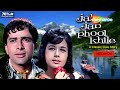 Jab Jab Phool Khile | Nanda | Shashi kapoor | Superhit 80's Romantic Movie