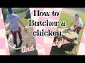 How to Butcher a Chicken in Style #homestead #reaction