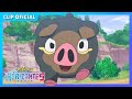 ¡Lechonk vs. Sprigatito! | Serie Horizontes Pokémon | Clip oficial