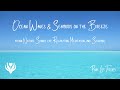 Ocean Waves & Seabirds on the Breeze: 90 min Nature Sounds for Relaxation, Meditation, and Studying