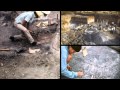 Download Last Extinction.Nova mp4 3gp mp3 videos - waplic