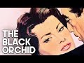 The Black Orchid | Classic Drama Film | Anthony Quinn | Romantic Film