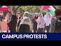 Encampments, protests pop up at Chicago universities