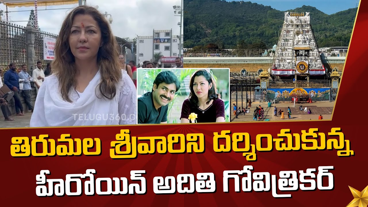 తిరుమల శ్రీవారిని దర్శించుకున్న హీరోయిన్ అదితి గోవిత్రికర్ | #Telugu360