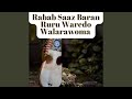 Rabab Saaz Baran Ruru Waredo Walarawoma