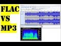 Flac vs Mp3 | See the difference