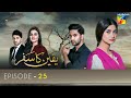 Yakeen Ka Safar Episode 25 | Ahad Raza Mir | Sajal Ali  | Hira Mani | HUM TV Drama