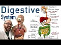 Digestive Tract Anatomy and Physiology