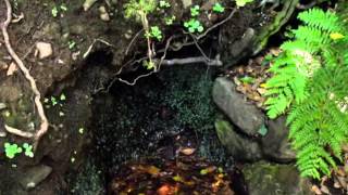 GOMERAACTUALIDAD-HERMIGUA LA GOMERA