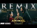Satranga (Remix): Ranbir Kapoor, Rashmika | Arijit Singh | Sandeep Vanga | DJ Basque | T-Series