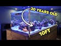 Exploring A STUNNING 20 Year Old, 10ft Saltwater Reef Tank in Melbourne, Australia!