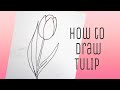 How to Draw Tulip Flower / Quick and Easy Tulip Flower/ Flower Doodle Tutorial#shorts #youtubeshorts