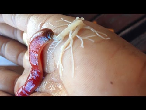 Crying pregnant anal sex tapes You gay boys having sex