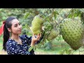 Soursop fruit in my homeland - Chicken roasted with Soursop fruit recipe