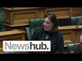 Fresh allegation emerges against Green MP after allegedly intimidating Minister | Newshub