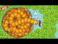 Snake.io 🐍 01 Snake Skin Clementine Vs Monkeypaw The Map Epic Snake io GamePlay
