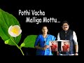 Pothi vacha Malliga Mottu | SP.SUNDAR | MALATHI | SPB | Ilayaraja #ilayaraja #spb
